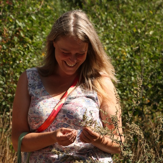 Wildplukwandeling Achterhoek