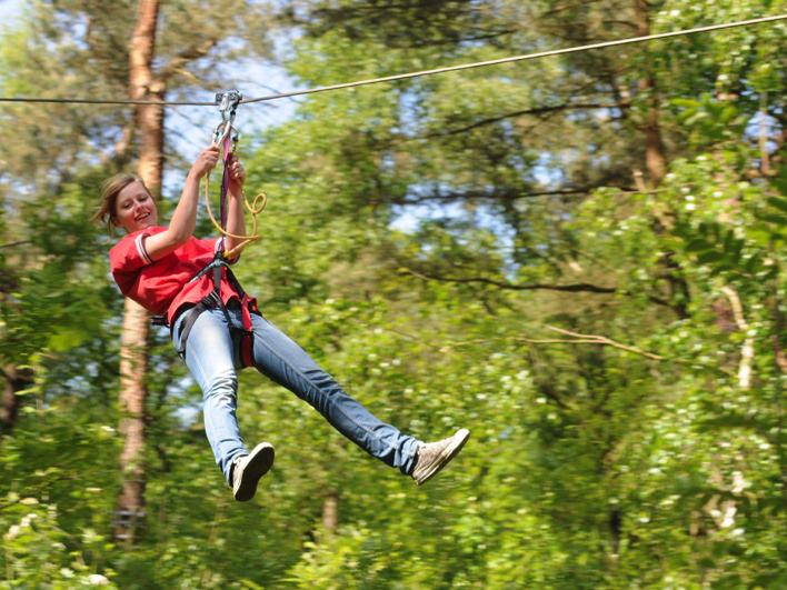 Image of Klimmen tussen de Veluwse bomen