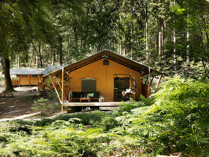 Image of Overnachting Veluwe in Lodgetent